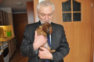 jamnik d�ugow�osy NAILA